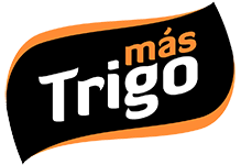 Mastrigo